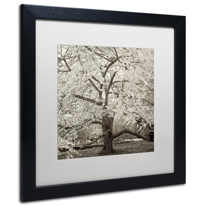Fenwick «Hampton Magnolia II», reproduction de photo encadrée, Blanc, H 16 po x l 16 po x P 0,5 po