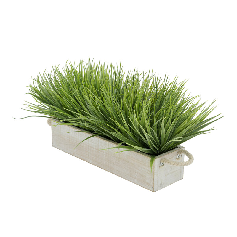 Herbe d'oignon artificielle en pot, Blanc, H 10 po x l 21 po x P 10 po, Vert pâle