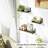 Mekela Solid Wood Floating Shelf-1200646287
