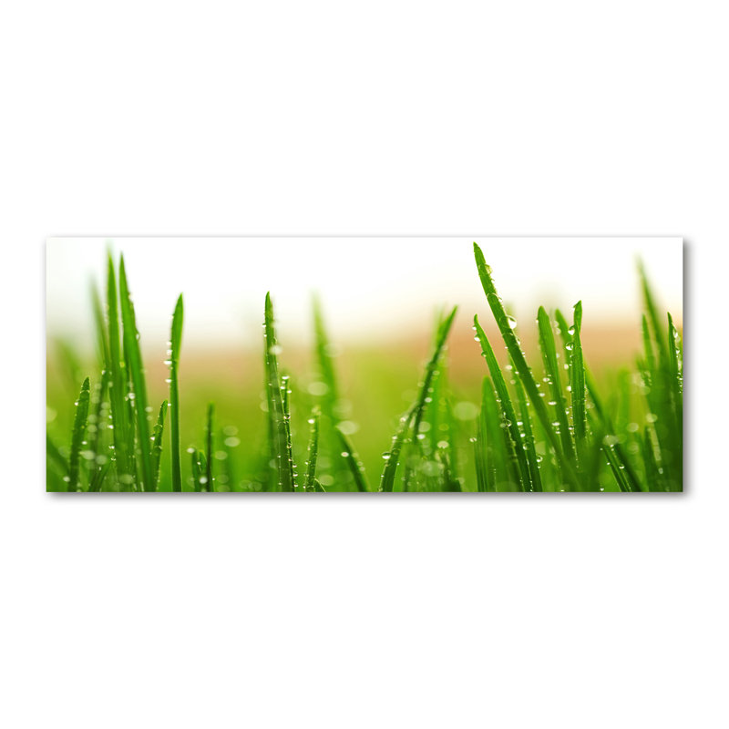Grass - No Frame Print on Canvas