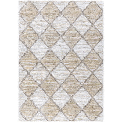 Jean-Paul Geometric Indoor Rug