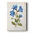 Botanical II -Custom Wrapped Gallery Cavas-323335460