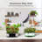 NANAN Hydroponic Unit