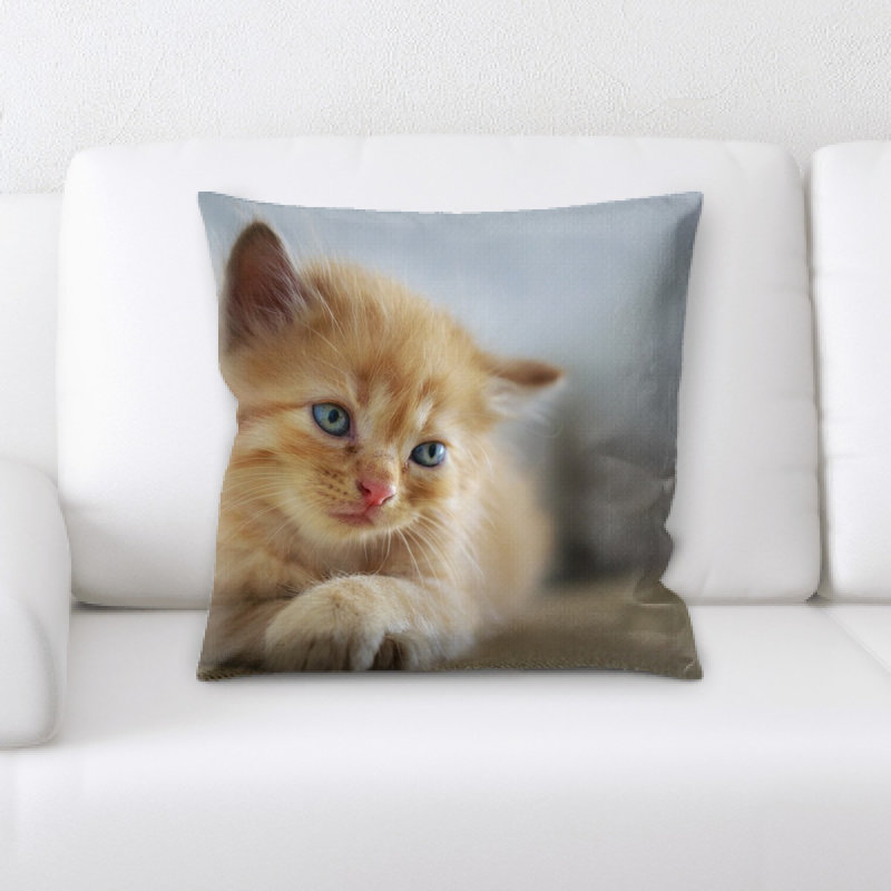 Coussin pour chat