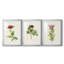 «Pretty Pink Botanicals II», reproduction sur mesure encadrée de qualité supérieure - 3 pièces-1063029854-1063029853