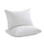 Oreiller en duvet et plumes-915734865