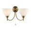 Barium Armed Sconce-428205319