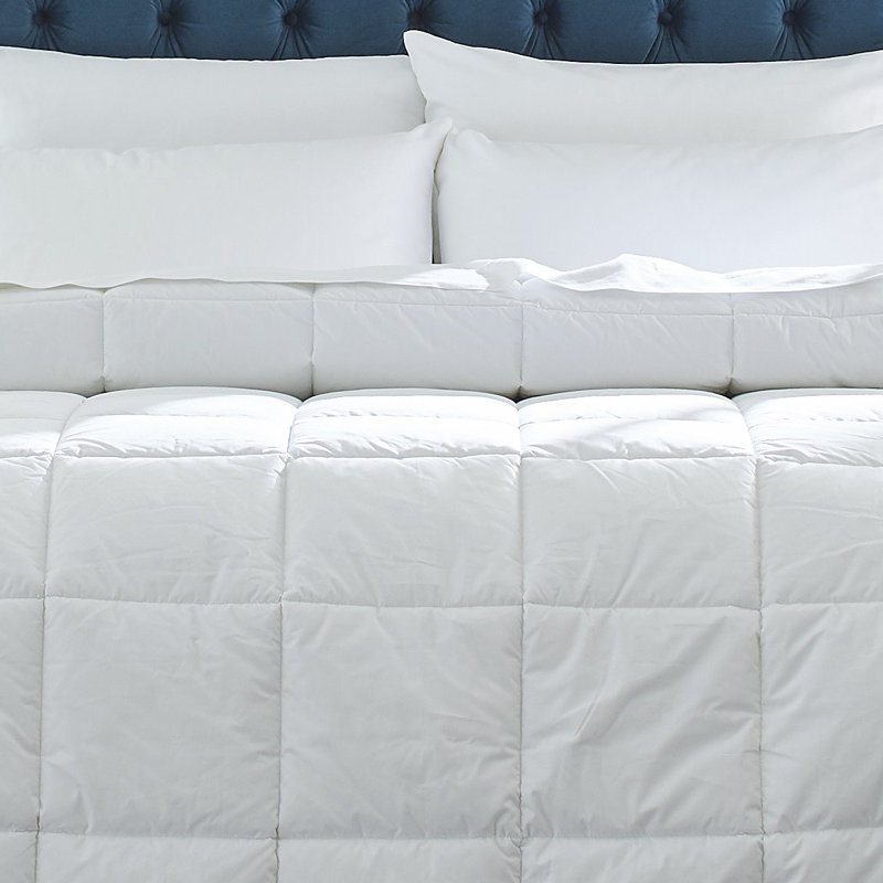 Édredon surdimensionné à passepoil en percale de coton Pointehaven, Roi