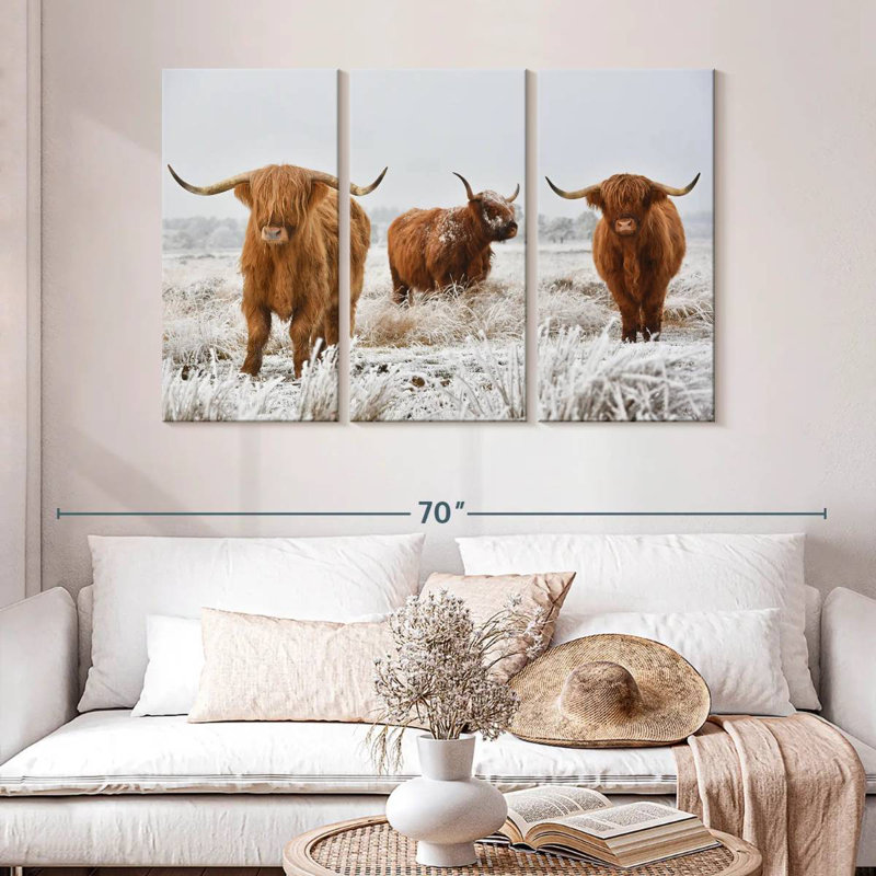 Trois vaches Highland, H 32 po x l 50 po