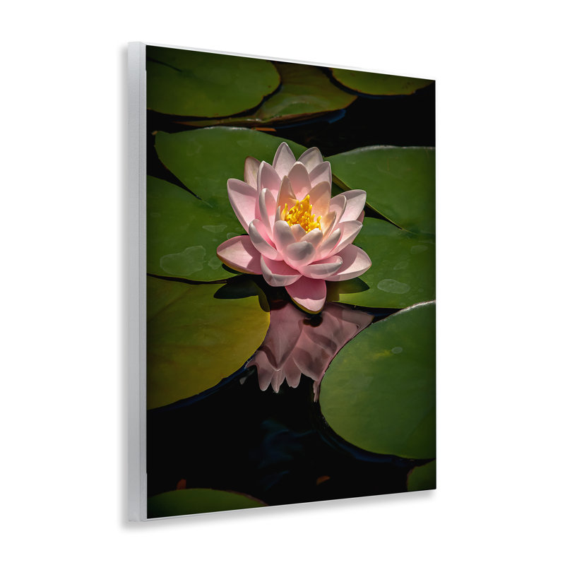Plaque rose lotus parmi des nénuphars, design par Phillip Flowers