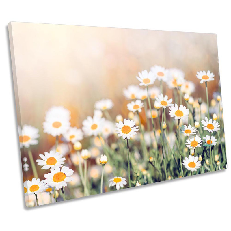 Daisy Flowers - Wrapped Canvas Print, 91.4cm H x 137.2cm W 