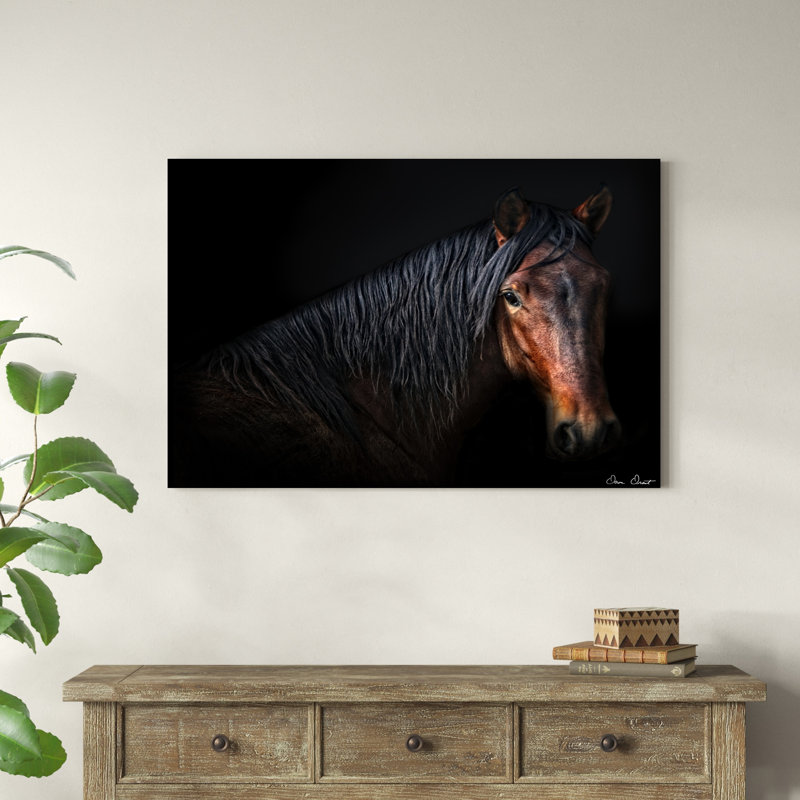 Portrait de cheval VII, H 32 po x l 48 po x P 1,25 po