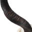 Mounted Kudu Skull-72652157