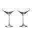 Vintner Glass Coupe