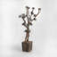 Faux Tree in Solid Wood Planter