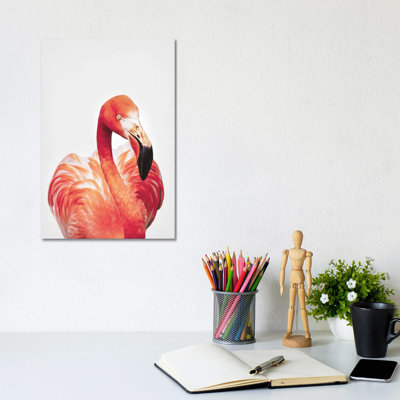 Flamingo 1 Piece Wrapped Canvas Wall Art
