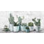 Refreshing Green Succulents by Parvez Taj - 1 Piece Wrapped Canvas Painting-872831106