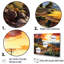 Vineyard Sunset - Vineyard Wall Art Living Room-97048806-97048801