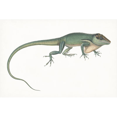 Antique Chameleon - Painting