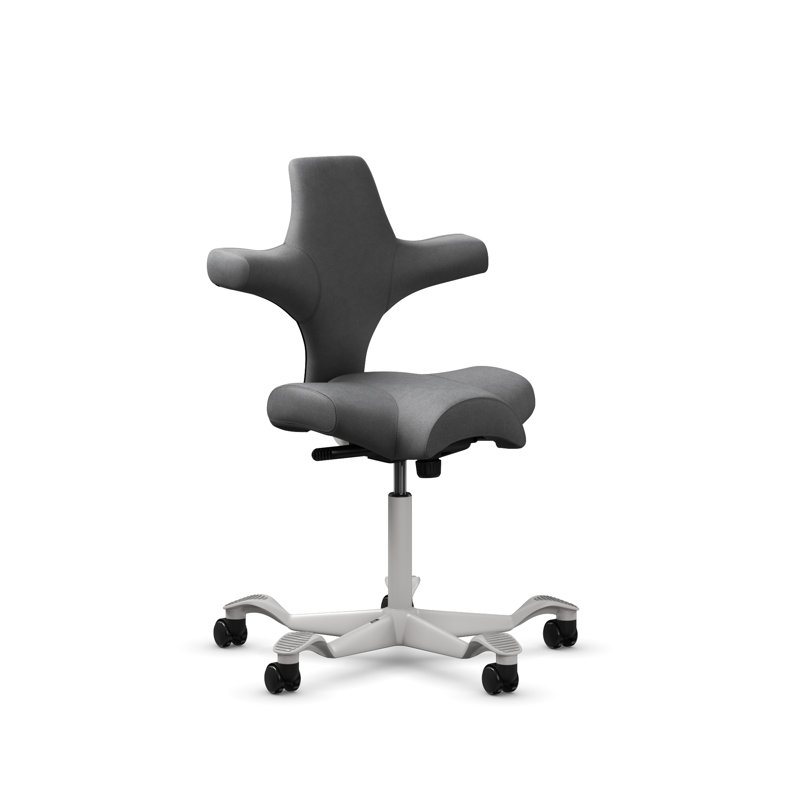 Fauteuil réglable en position assise / debout HœG Capisco, Sit-to-Stand, Argent argent, Gray Dove