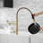 FLG Pull Down Kitchen Faucet