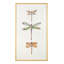 Joy Colangelo Joyful Dragonflies II Framed Print Canvas