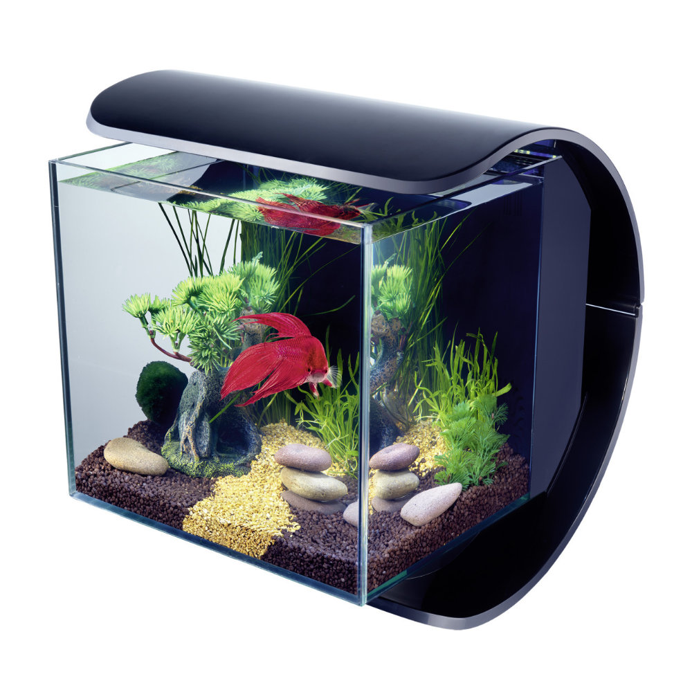 12 L Aquarium