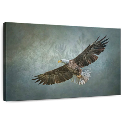 Aigle volant majestueux Brampt