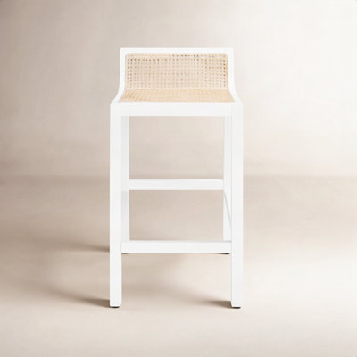 McCarthy Cane Bar & Counter Stool