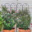 Treillis en métal pour jardin-481118236