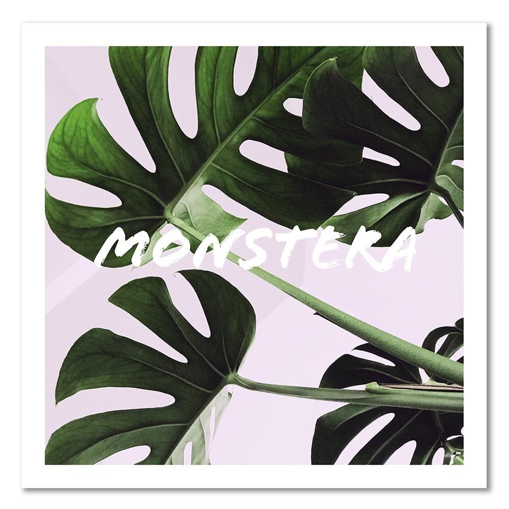 Leinwandbild Exotische Monstera-Blätter