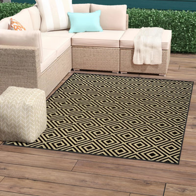 Ayma Performance Rug