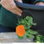 Hanging Basket Planter (x4)