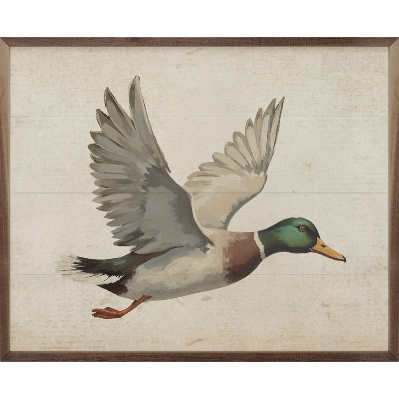 Duck, 24" H x 30" W
