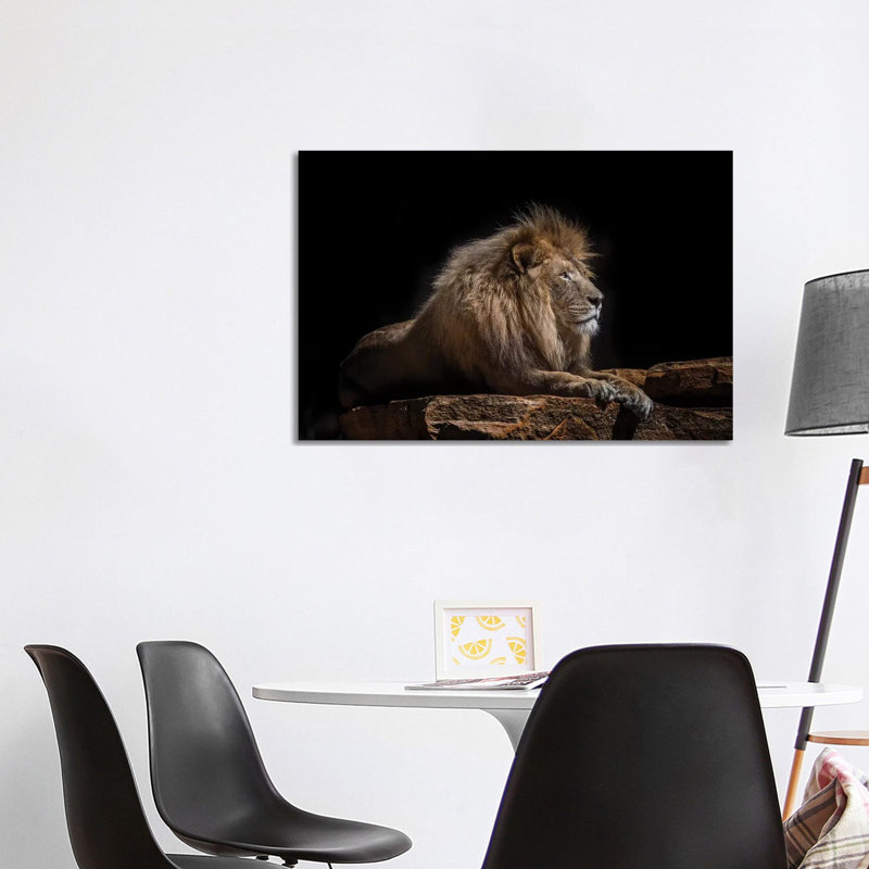 Lazarus by David Whelan - Print on Canvas, Wrapped Canvas, 101.6 cm H x 66.04 cm W x 1.91 cm D