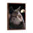 Classic Brown Wood Framed is unavailable