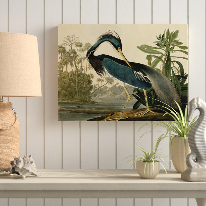 «Johniana Audubon» par John James Audubon, H 35 po x l 47 po x P 2 po, Toile tendue