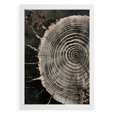 ABSTRACT Series CXCV -Canvas Print Only - NOT FRAMED