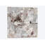«Show II», reproduction sur toile-29437213-73647755-73648064