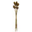 Primrue 18-24 "Natl. Platy Cone sur tige de roseau, 10 tiges, séché-1172653803