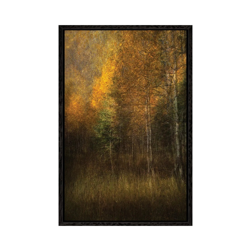 Woods 1 Piece Wall Art on Canvas, 66.04 cm H x 45.72 cm W, Black Floater Framed