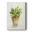 Succulent I - galerie tendue sur mesure Cavas-1682965013