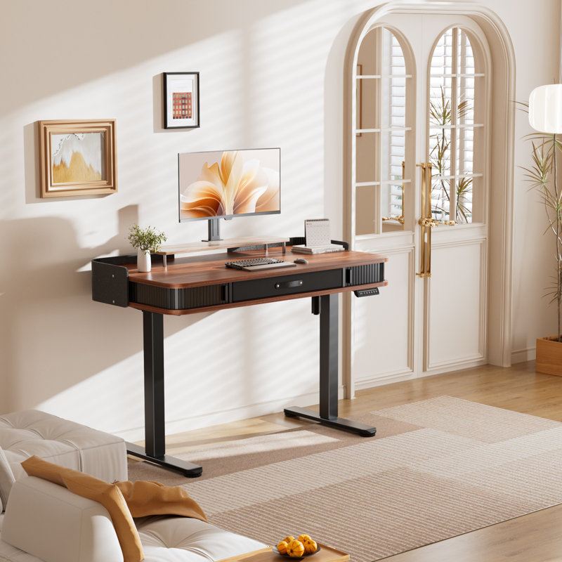 Office Desk,Electric Standing Desk Whole-Piece Desktop 48 x 24 Inches,Computer Desk,Height Adjustable Desk with 3 Drawers Home Office Table with 3 Memory Preset