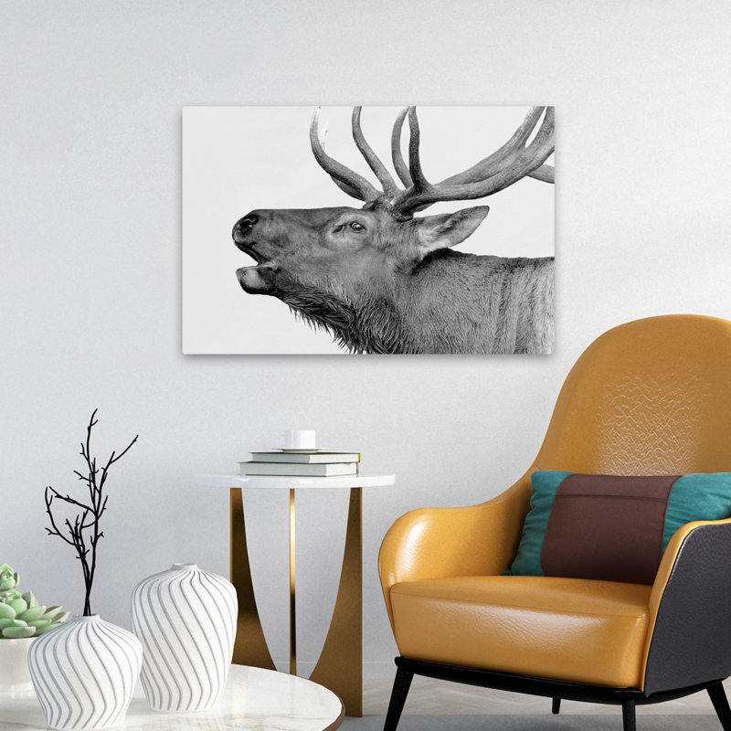 Deer - Photography Animals Deer Art, 16" H x 24" W