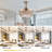 Edehard 42'' 4 - Blade Ceiling Fan with LED Lights
