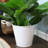 Mittler 4.1-Gallon Round Galvanized Steel Buckets w/ Hexagon Pattern - White-2008377687