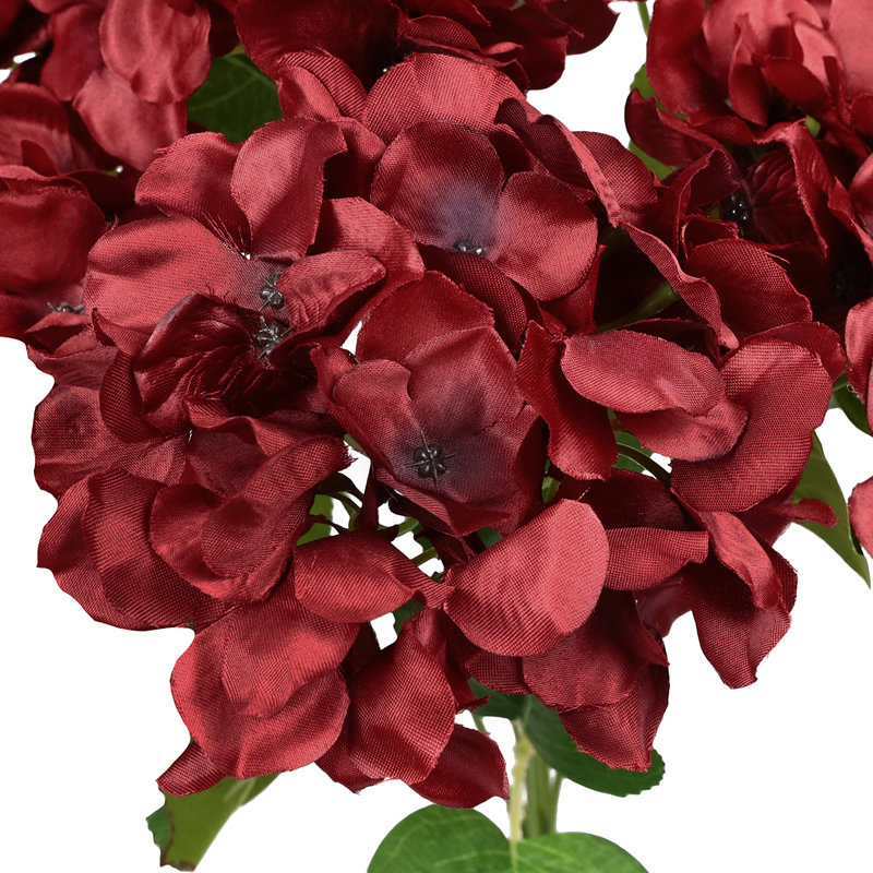 Tige d'hortensia de luxe Cragmont, Bourgogne