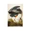 Great Blue Heron by John Audubon - Painting on Canvas-470315207-433306379