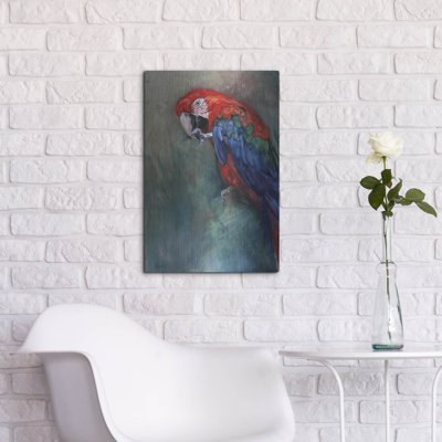 " Aw Macaw " by Robert Campbell