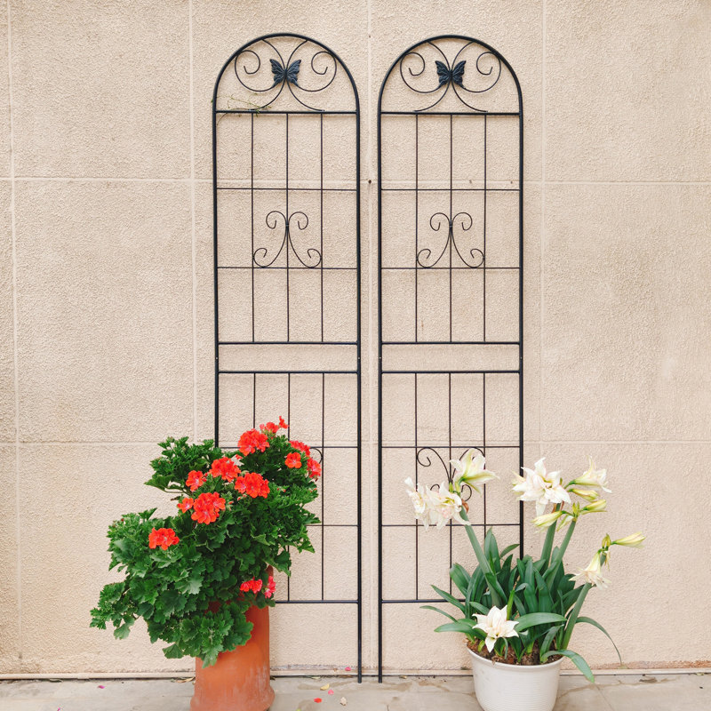 Ensemble de 2 treillis de jardin en métal